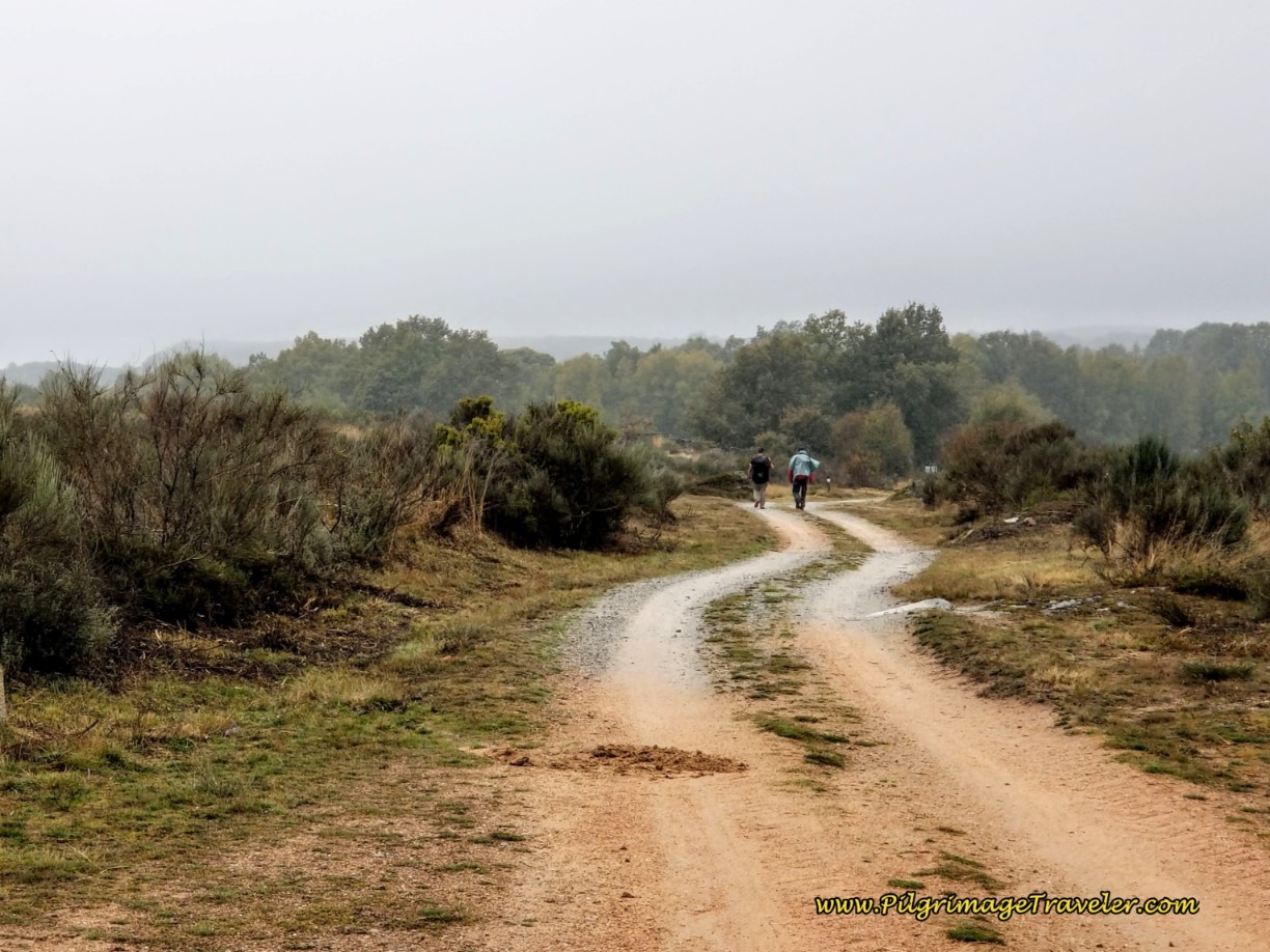 The Way Onward Towards O Cañizo