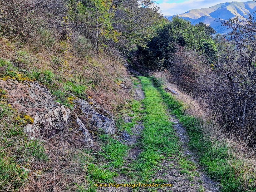 Easy, Wide Initial Tracks