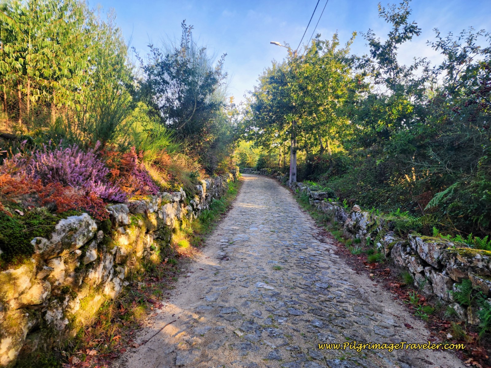 Captivating Section of Real Cobblestone