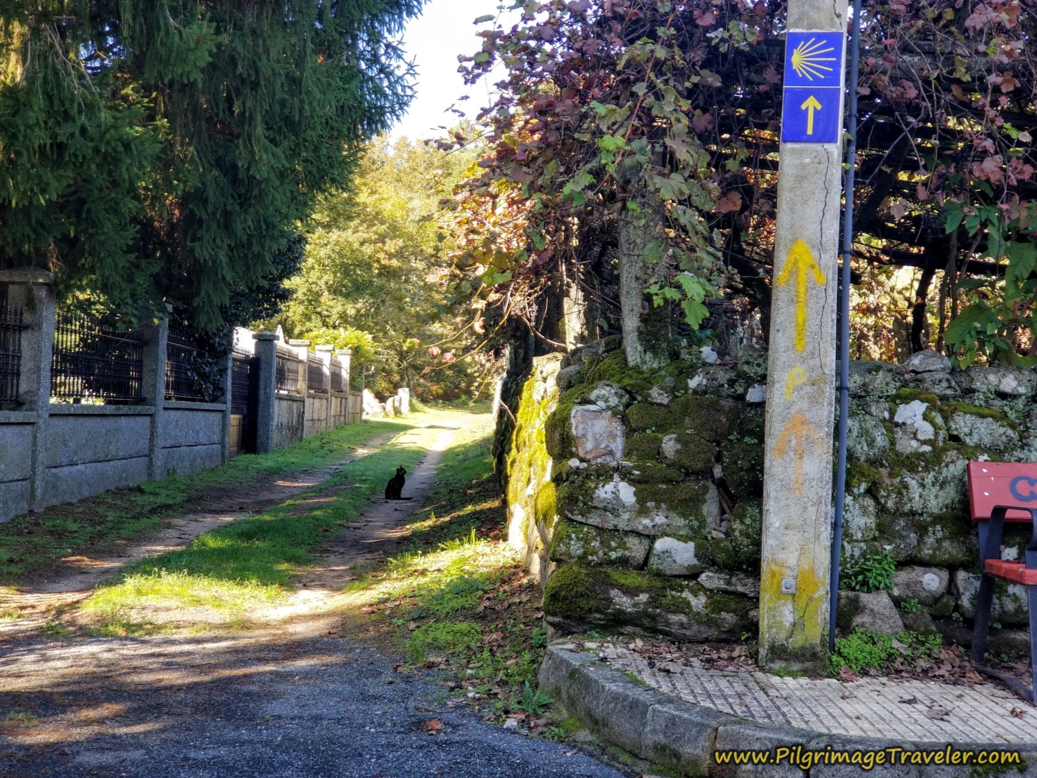 Entering Roman Road Section