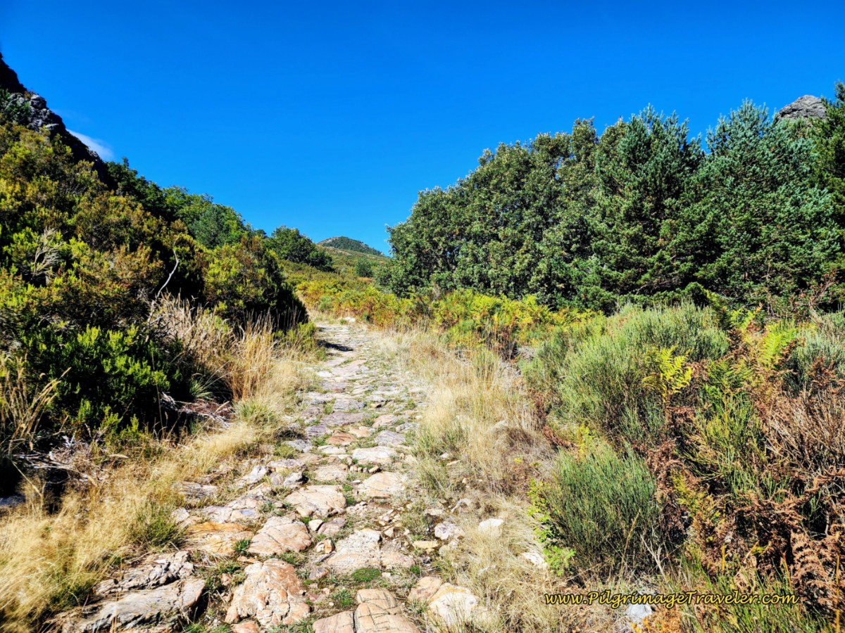 Negotiating Rocky Terrain on Old Roman Road