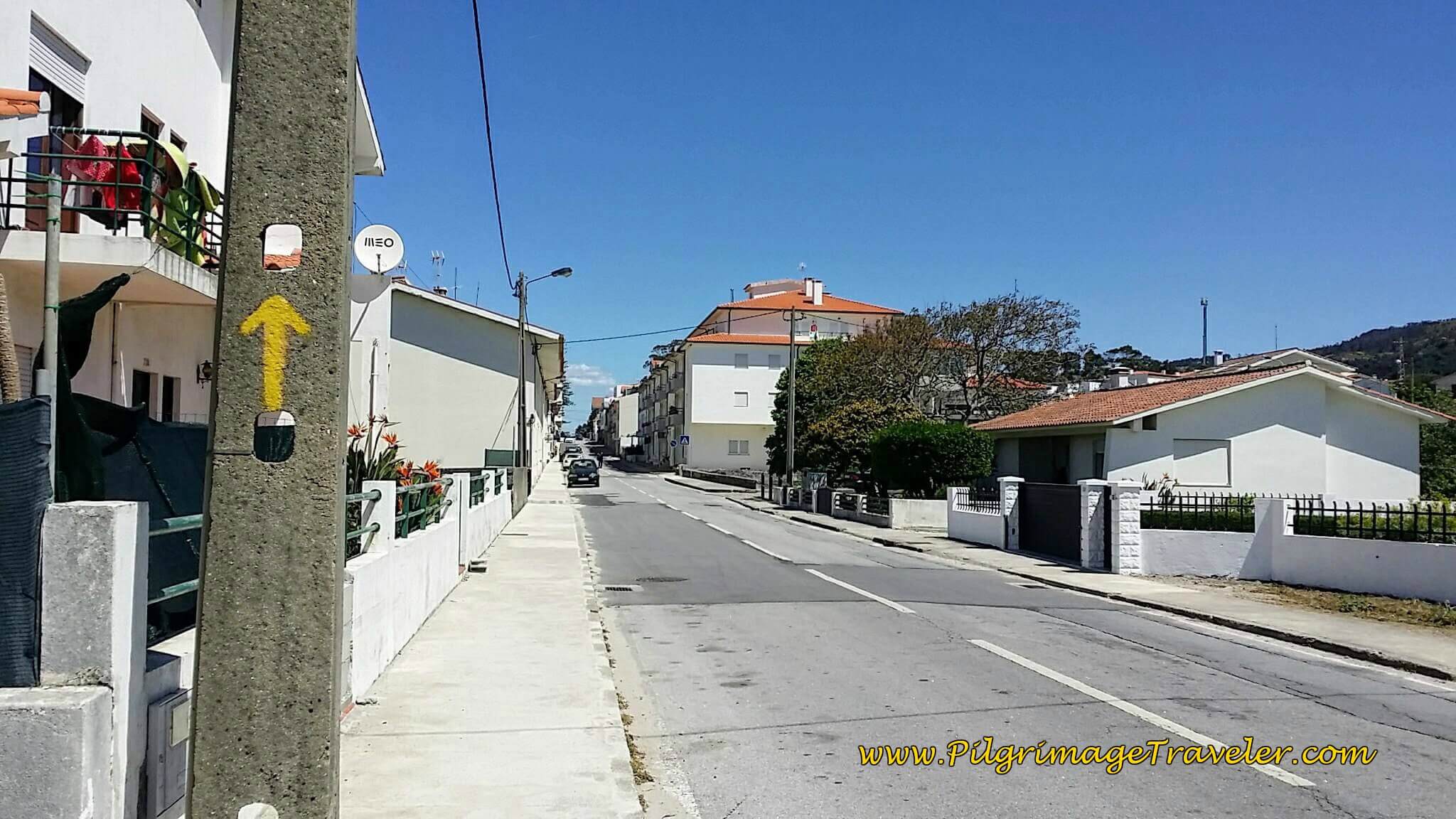 Frequent Yellow Arrows Inland Along Avenida Santana in Moledo on day eighteen of the Camino Portugués on the Coastal Route Frequent Yellow Arrows Inland Along Avenida Santana in Moledo on day eighteen of the Camino Portugués on the Coastal Route