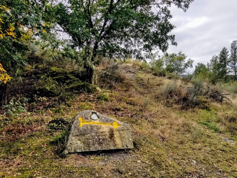 Special Carved Waymark in Galicia, by Nicanor Carballo