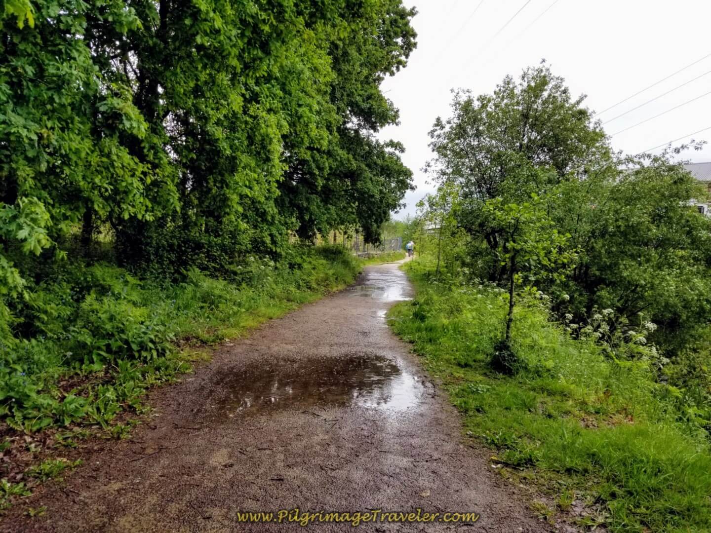 Sloshing Through Puddles on the Riverwalk on day twenty on the central route of the Portuguese Camino