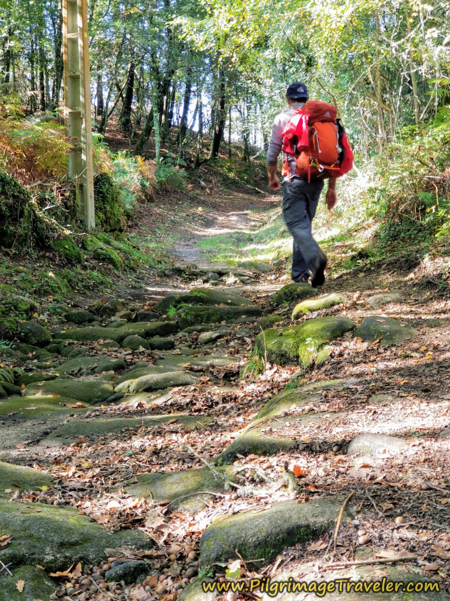 Rich on the Roman Road