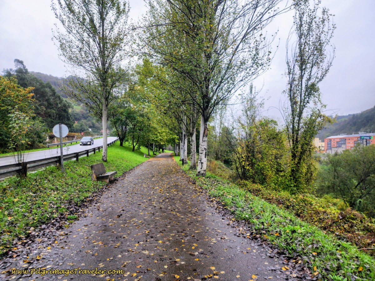 Along the Río Caudal Along the Río Caudal