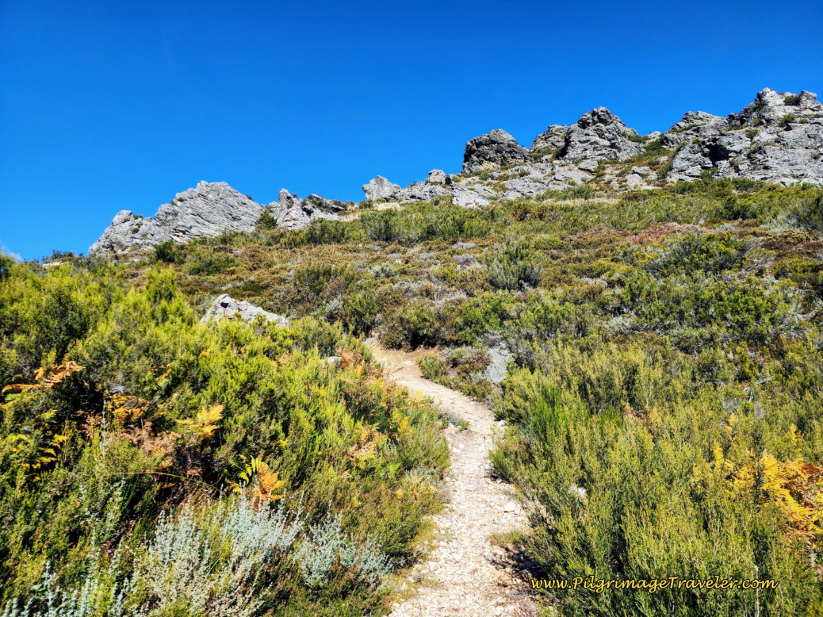 Another Rocky Ridge Above