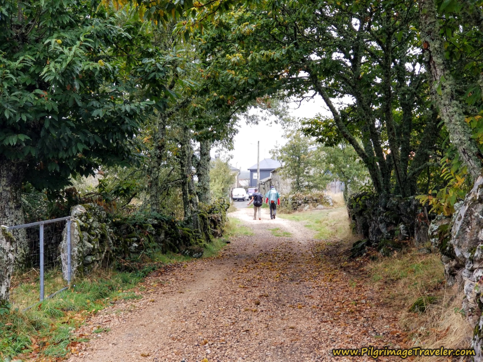 Entering O Cañizo, Camino Sanabrés, Lubián to A Gudiña