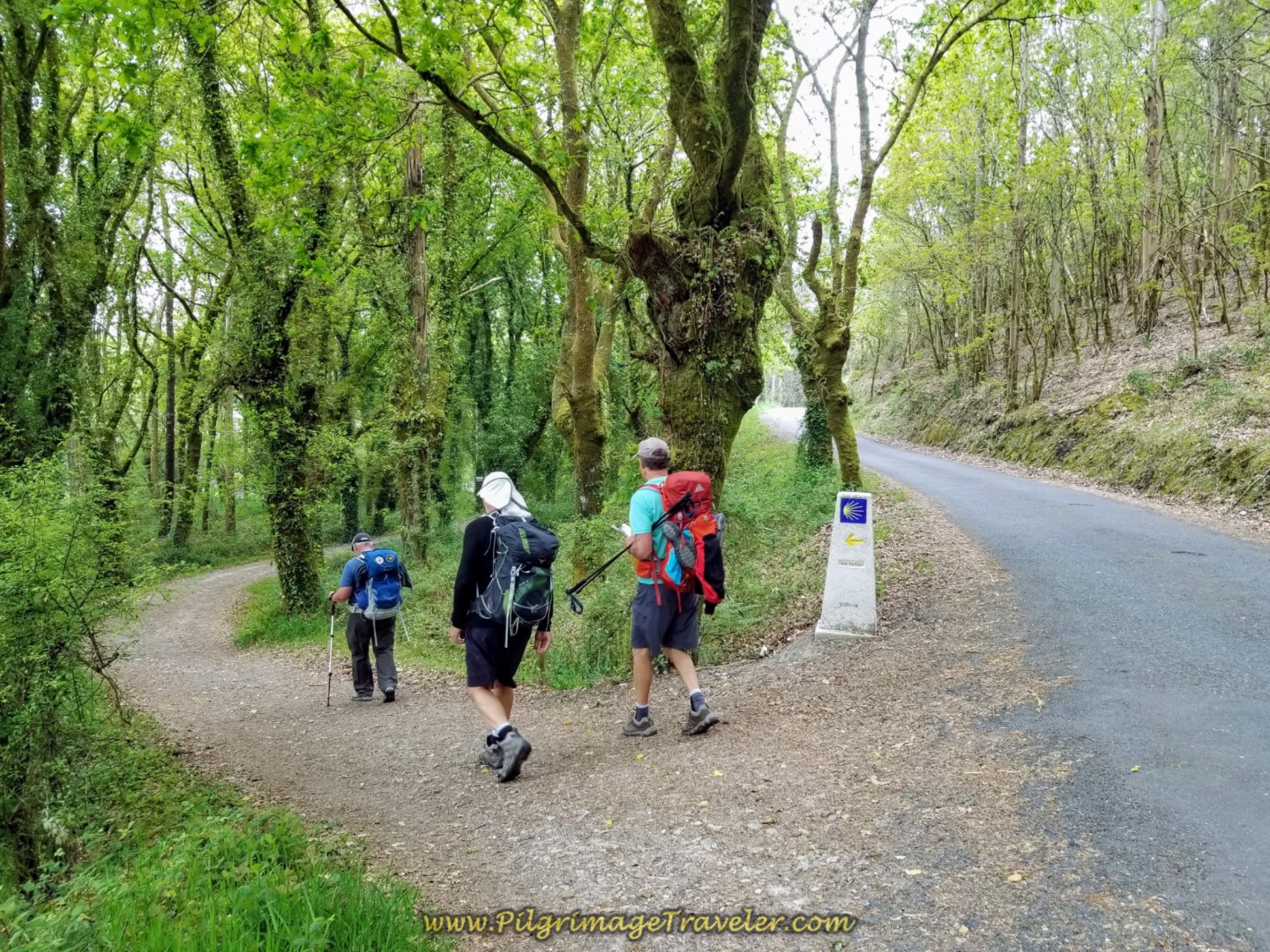 Left Turn Onto Path at 72 Kilometer Marker on day one of the Camino Fisterra