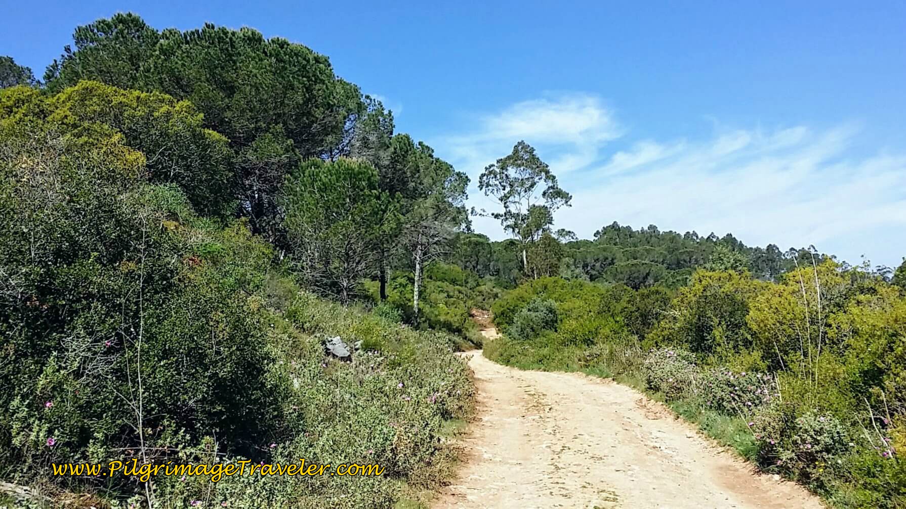 Up the Hill toward Conimbriga