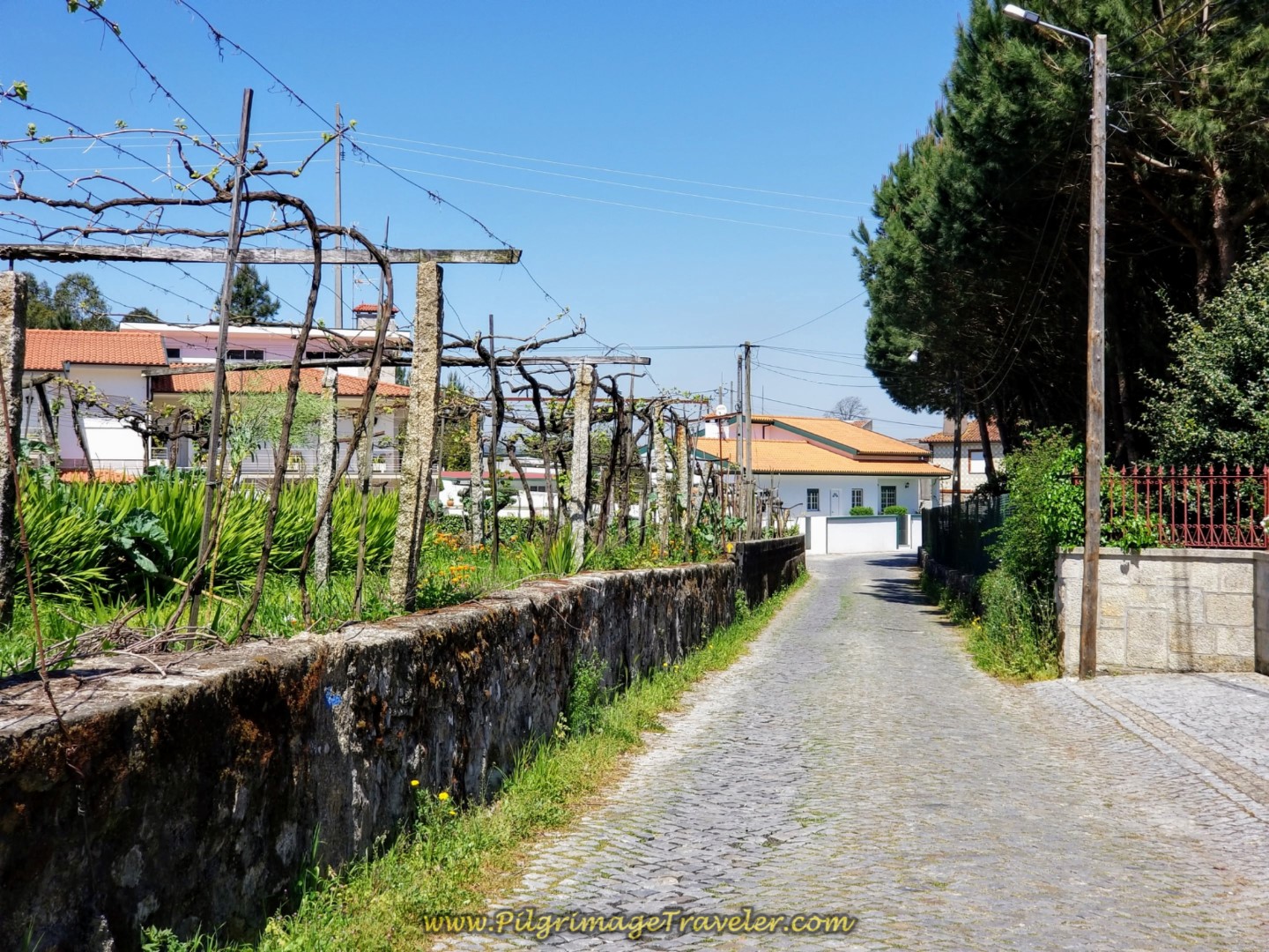 The Camino Toward Santa Cruz on day sixteen on the Central Route of the Portuguese Way