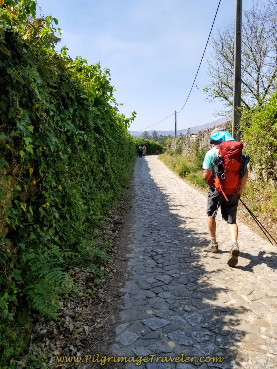 Real Cobblestone Along the Rua do Sobreiro on day seventeen on the Central Route of the Portuguese Camino