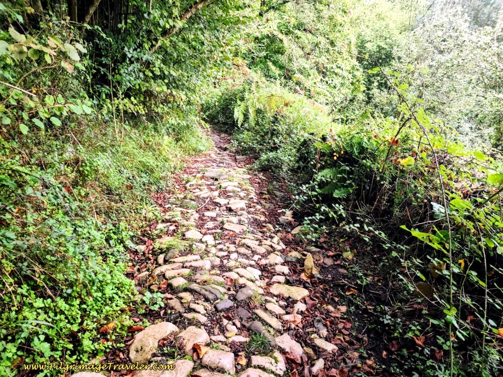 Intact Pavers on the Roman Road