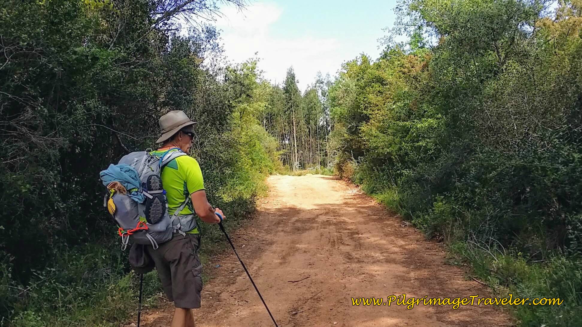 Entering Forest Toward Conimbriga