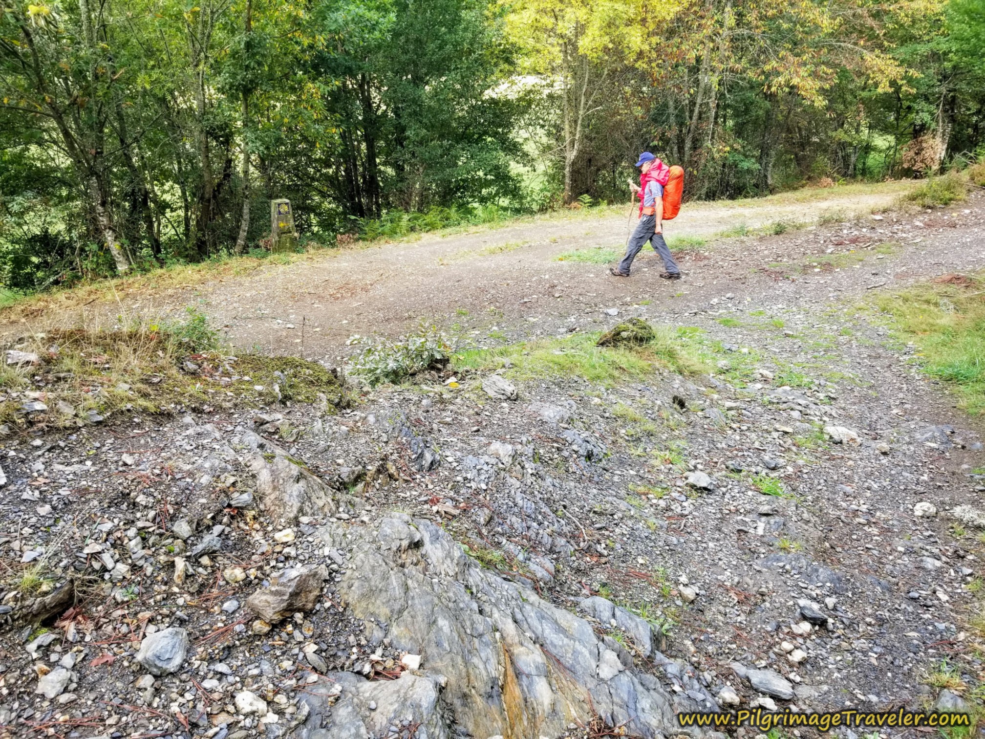Left Turn Towards the Río Cereixo
