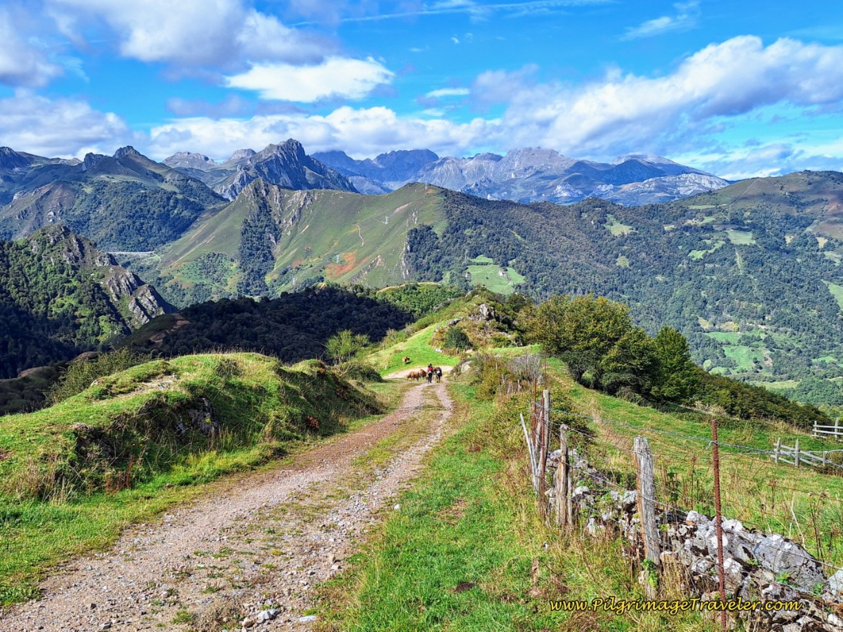 Magic of the Ubiñas Mountains