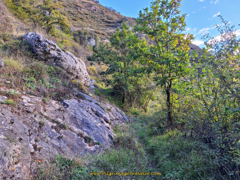 Open Area on Rocky Ridge
