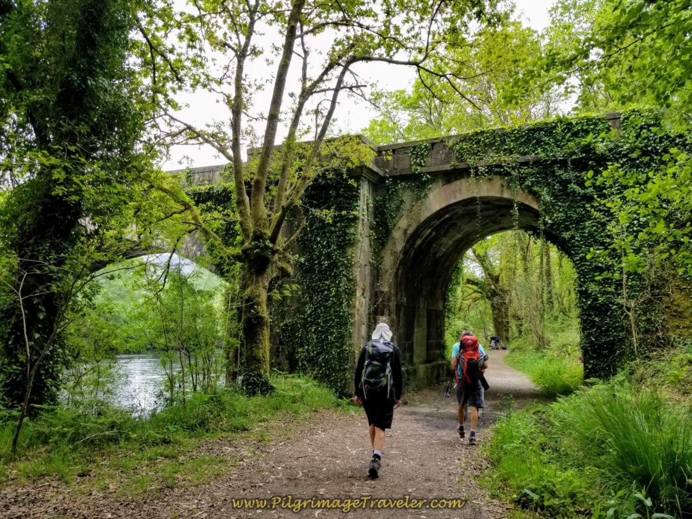 Walk Under the AC-448 by the Río Tambre on day one of the Camino Finisterre
