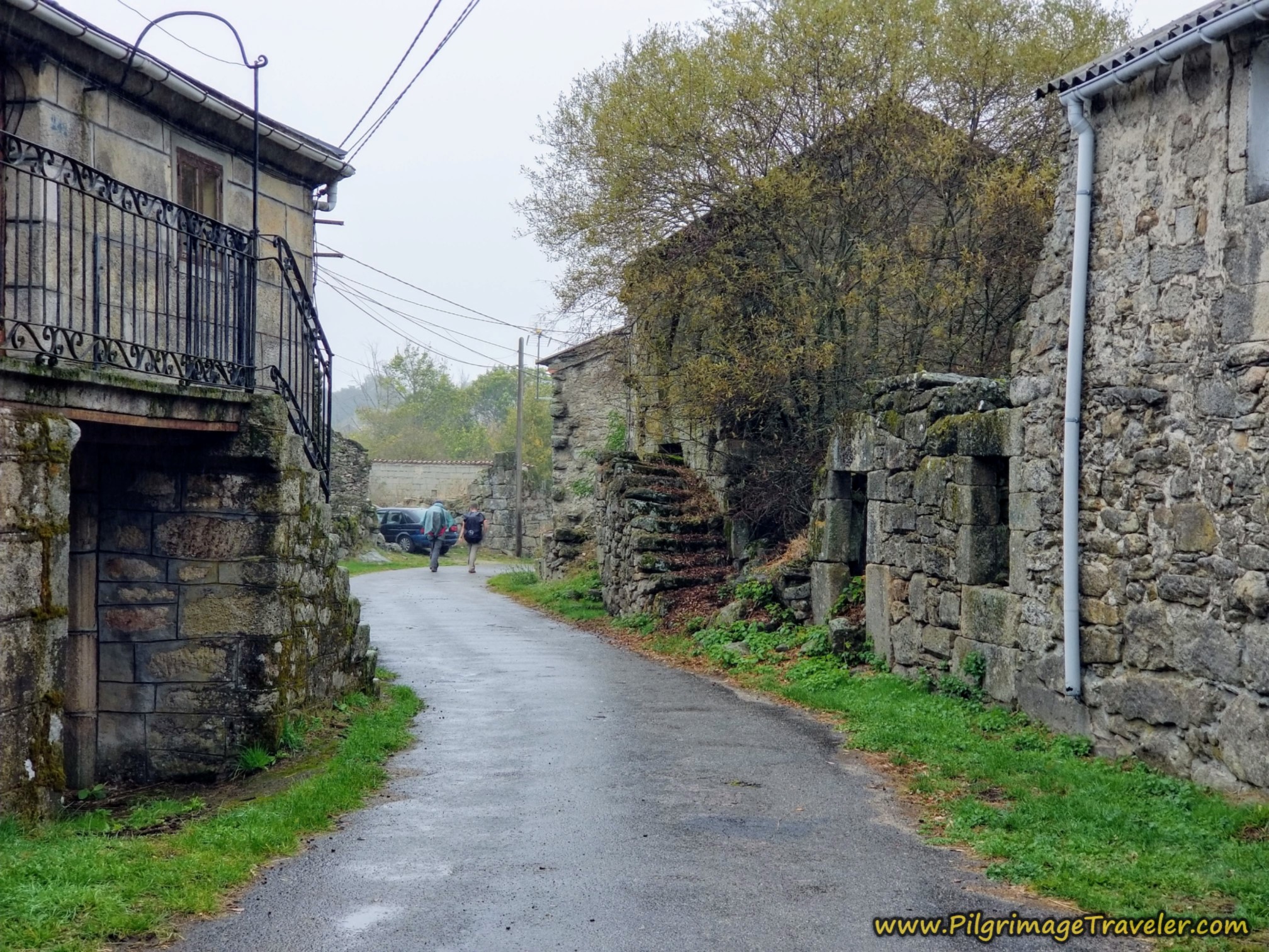 Walking Through O Cañizo