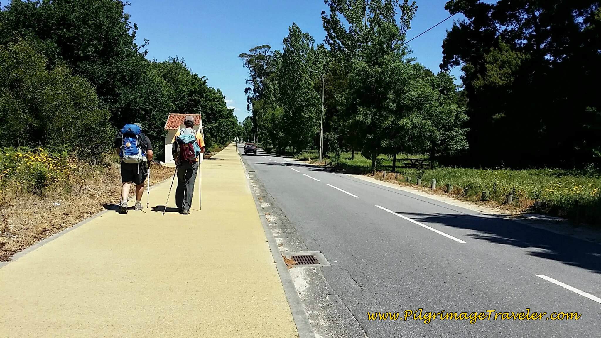 Yellow Pathway on the Avenida da Senhora ao Pé-da-Cruz on day eighteen of the Camino Portugués on the Coastal Route Yellow Pathway on the Avenida da Senhora ao Pé-da-Cruz on day eighteen of the Camino Portugués on the Coastal Route