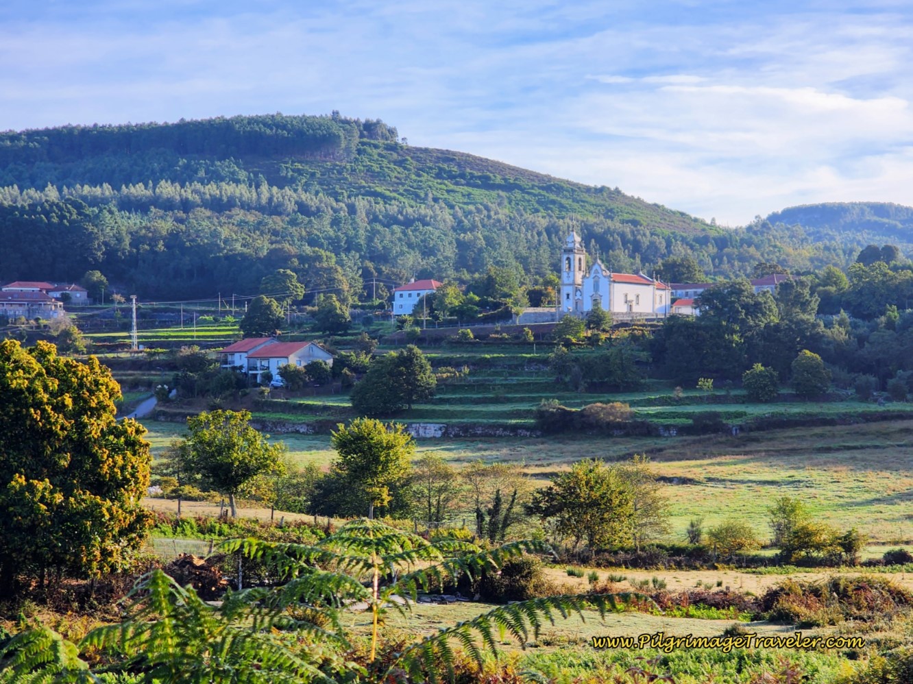 Igreja Matriz de Águalonga