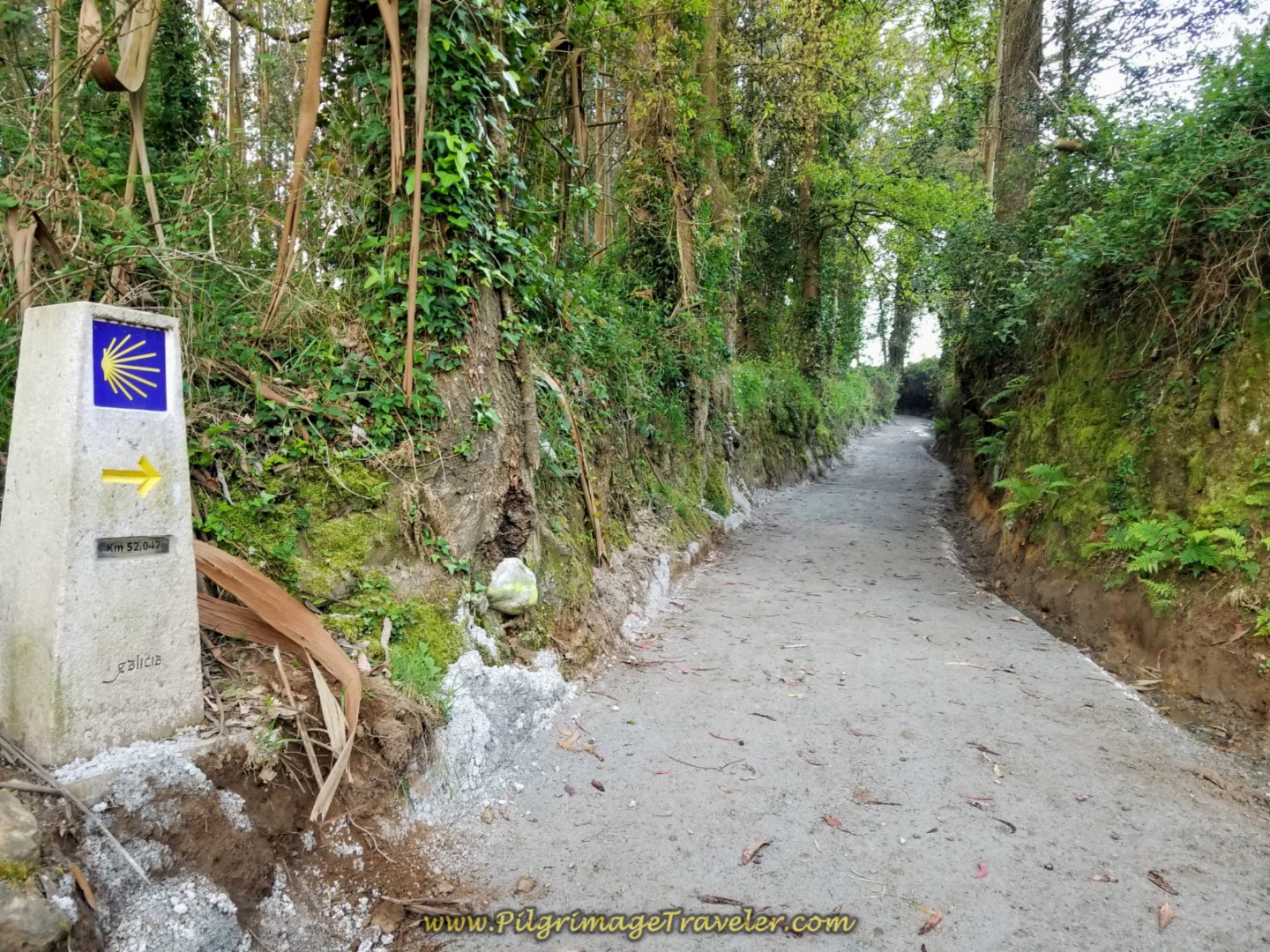 52.0 Kilometer Marker on the Path on day two of the La Coruña Arm of the Camino Inglés