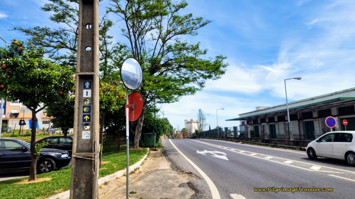 Waymarks Along the N10