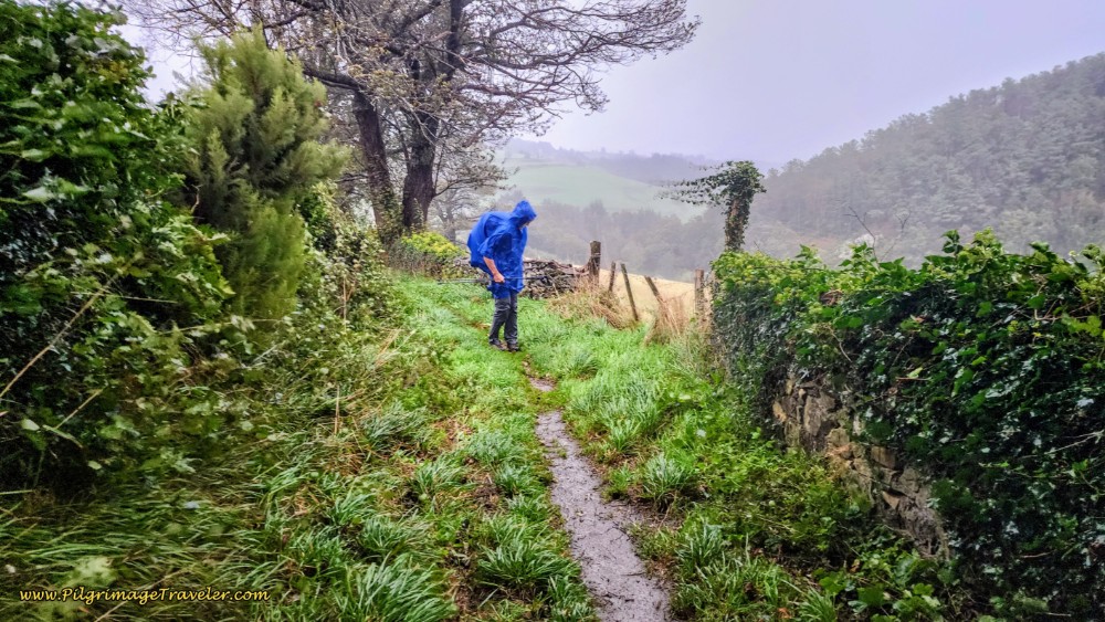 Yikes - Here Comes the Wind!