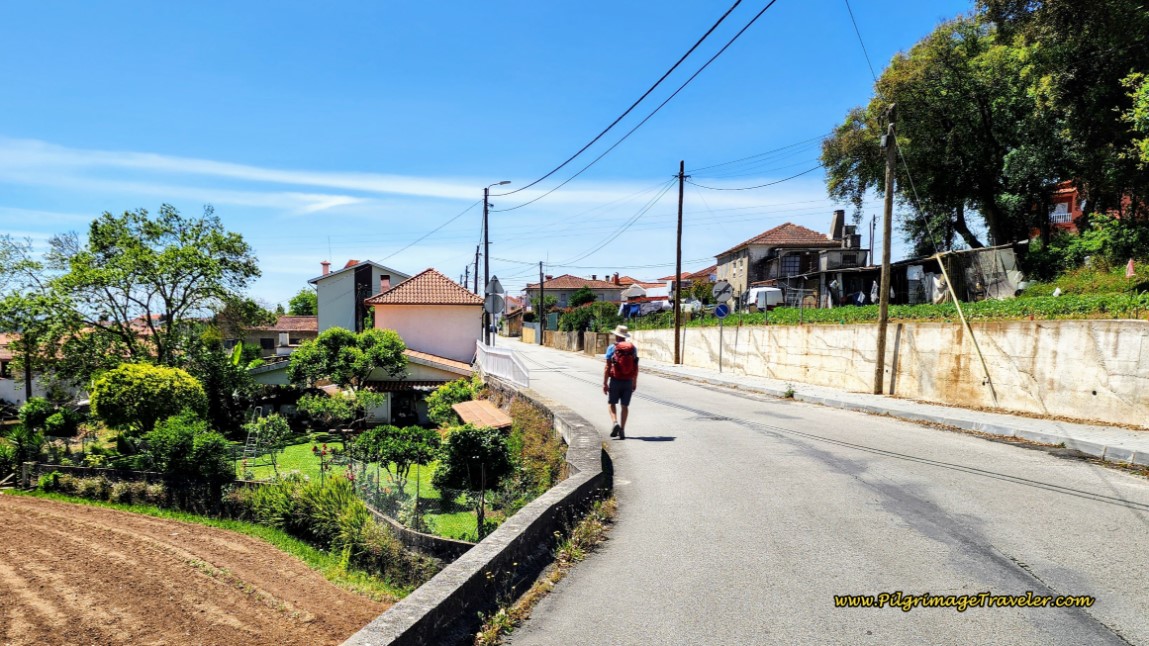 Along the Rua Aldeia Nova