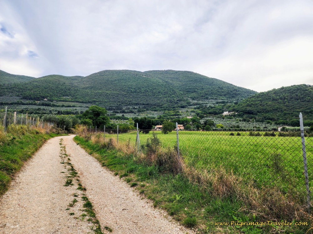 Way of St. Francis: Day Fourteen, Poreta to Spoleto - Ascending Valley Walk