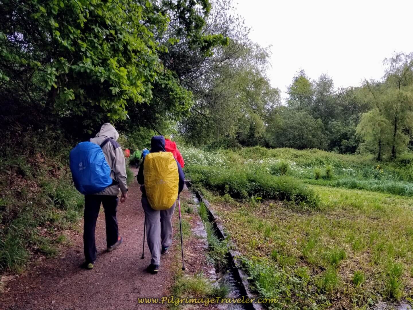Join Farmer's Lane on day twenty on the central route of the Portuguese Camino
