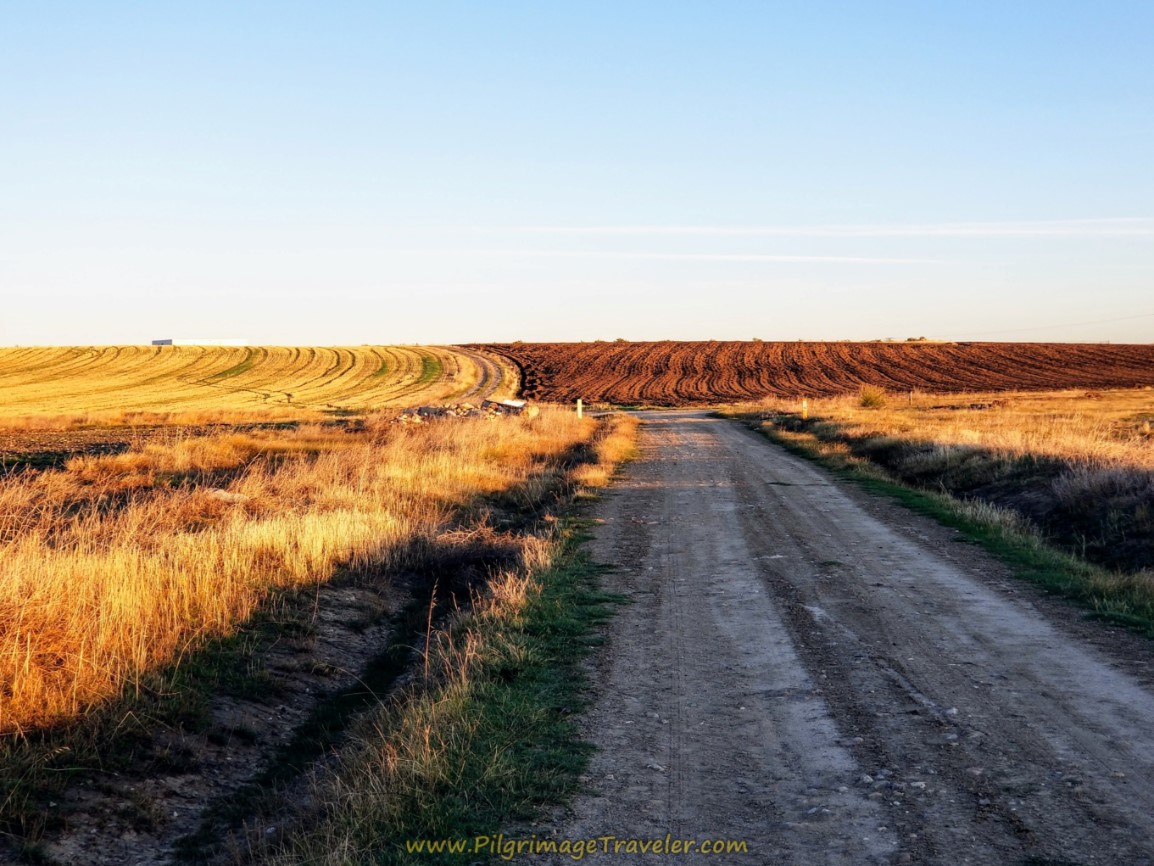 Sunlit Fallow Fields Ahead