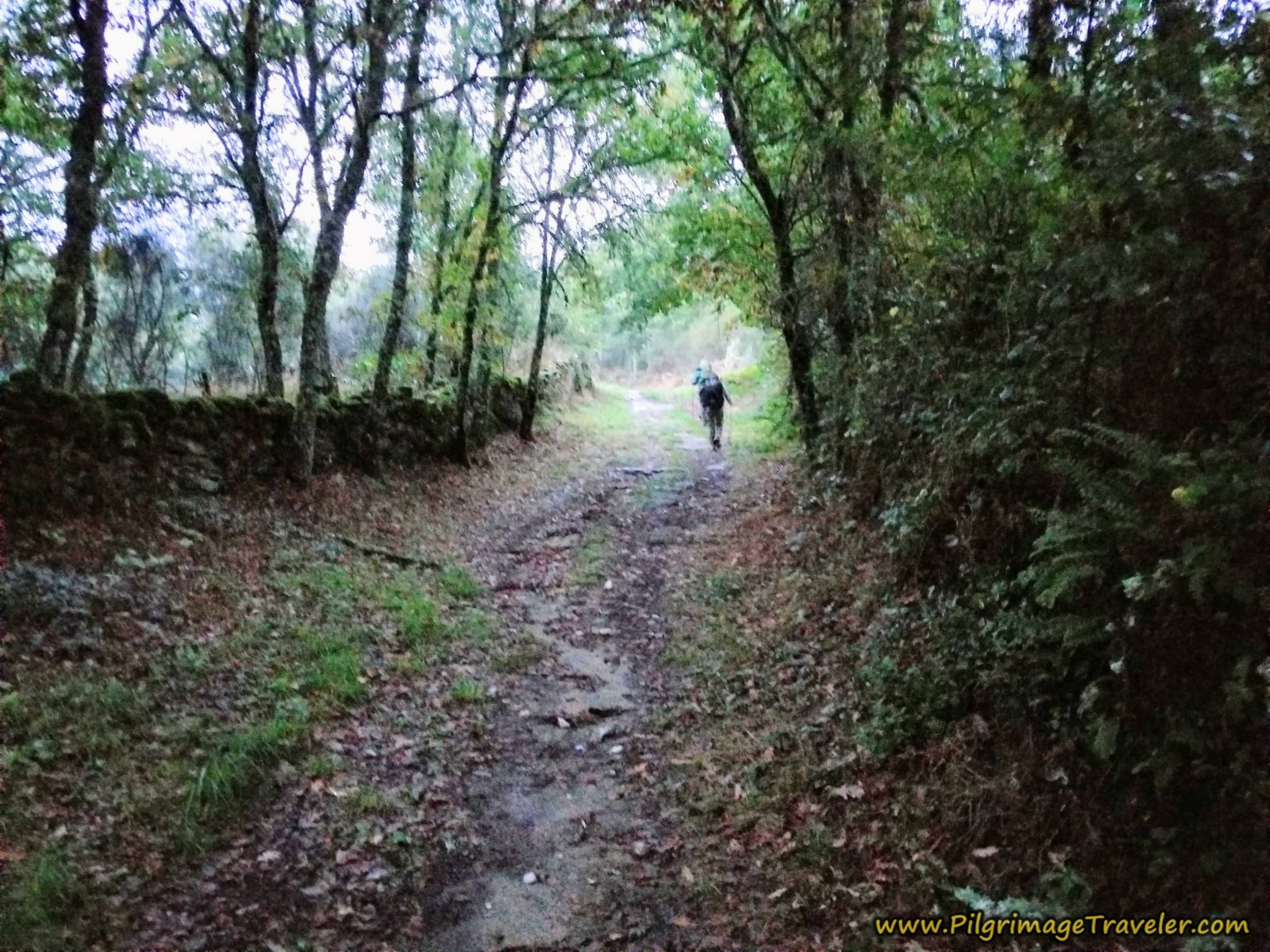 Parallel Lane Toward Outorelo, Camino Sanabrés, Xunqueira de Ambía to Ourense
