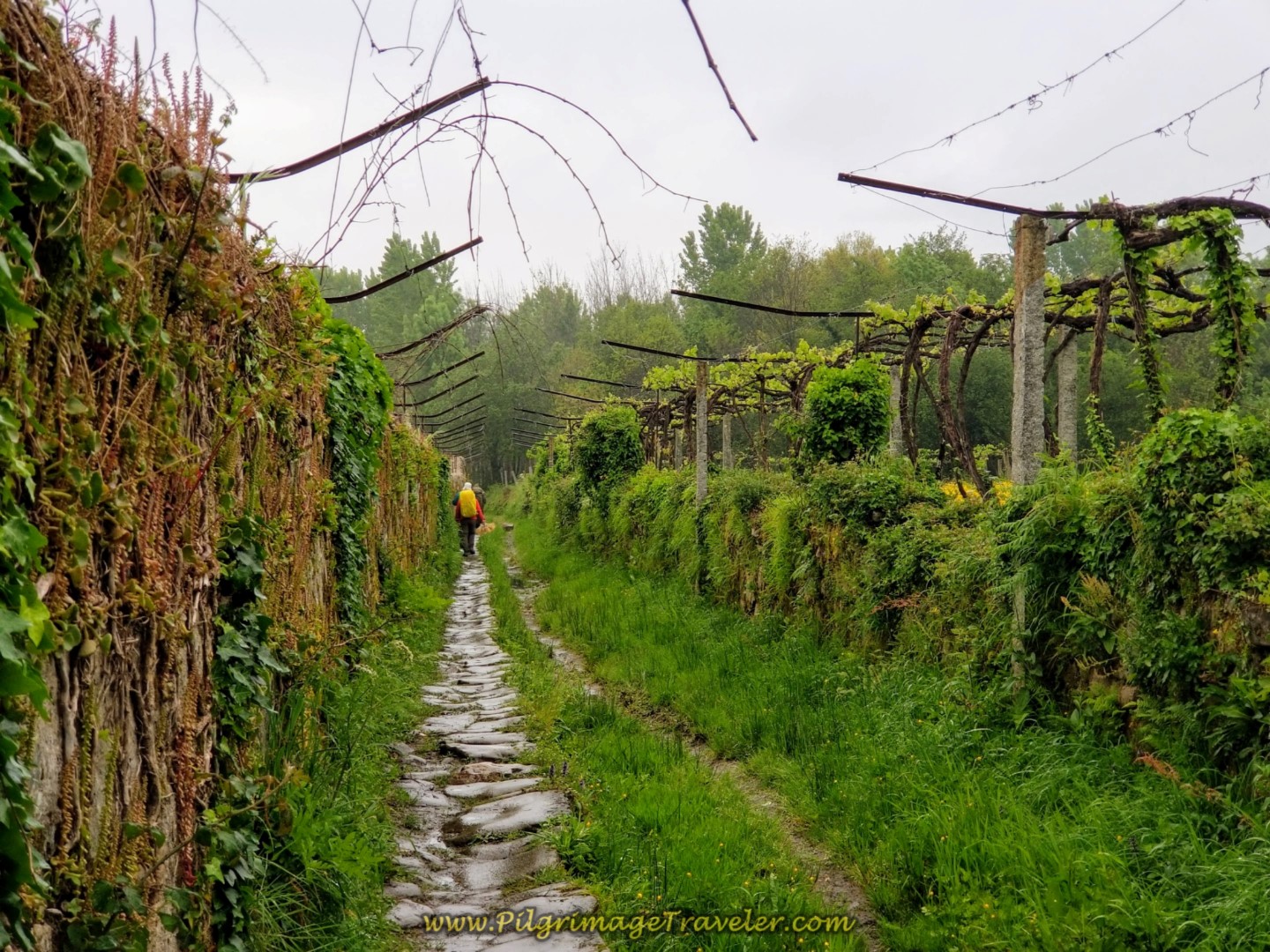 The Stone Path Leaves the Canal on day eighteen on the Central Route of the Portuguese Camino