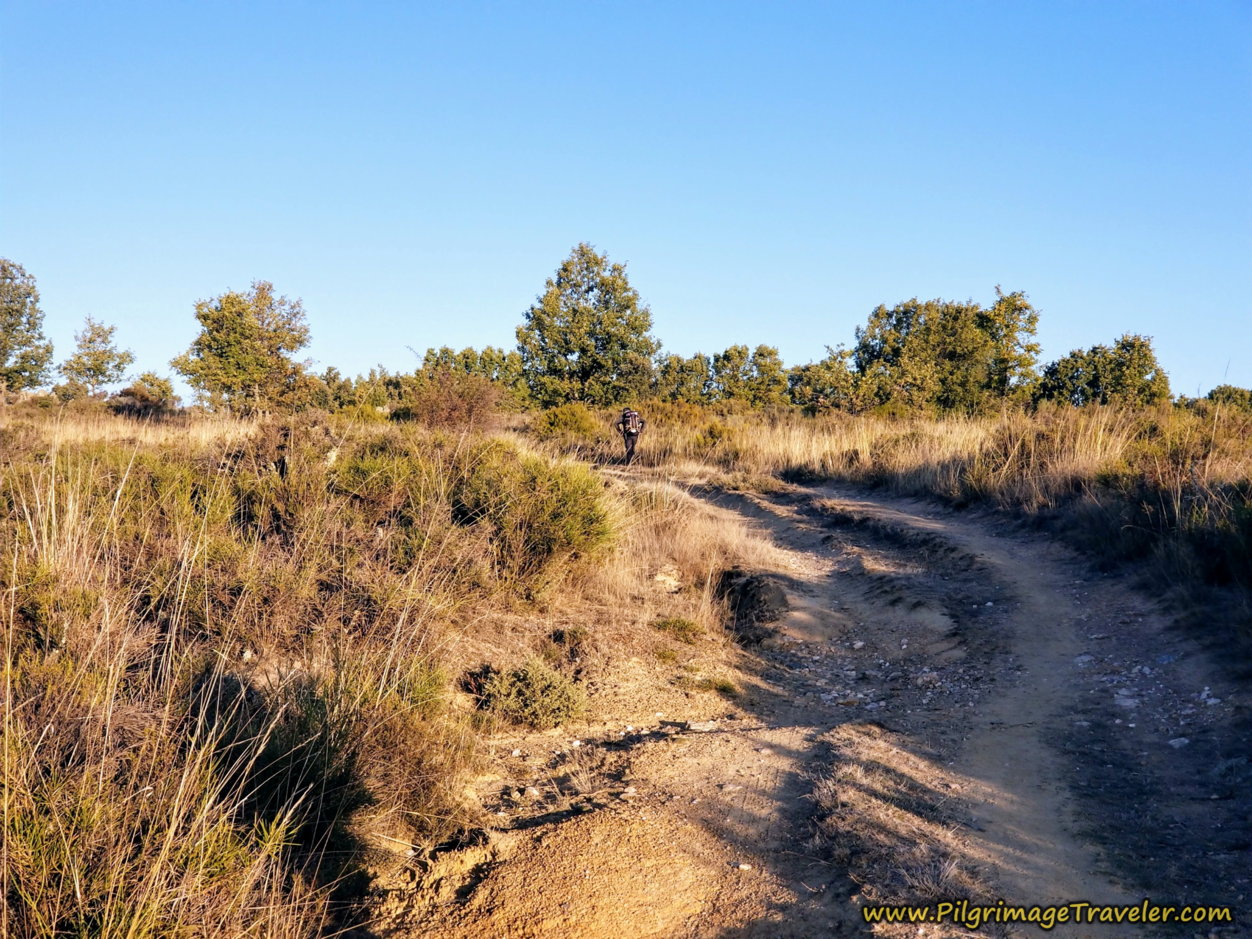 Peregrino Negotiates Rougher Road Ahead on the Camino Sanabrés from Rionegro del Puente to Entrepeñas Peregrino Negotiates Rougher Road Ahead on the Camino Sanabrés from Rionegro del Puente to Entrepeñas