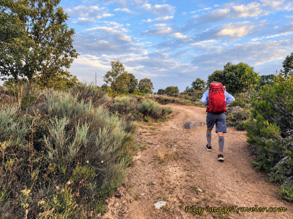 Peregrino Negotiates Rougher Road Ahead