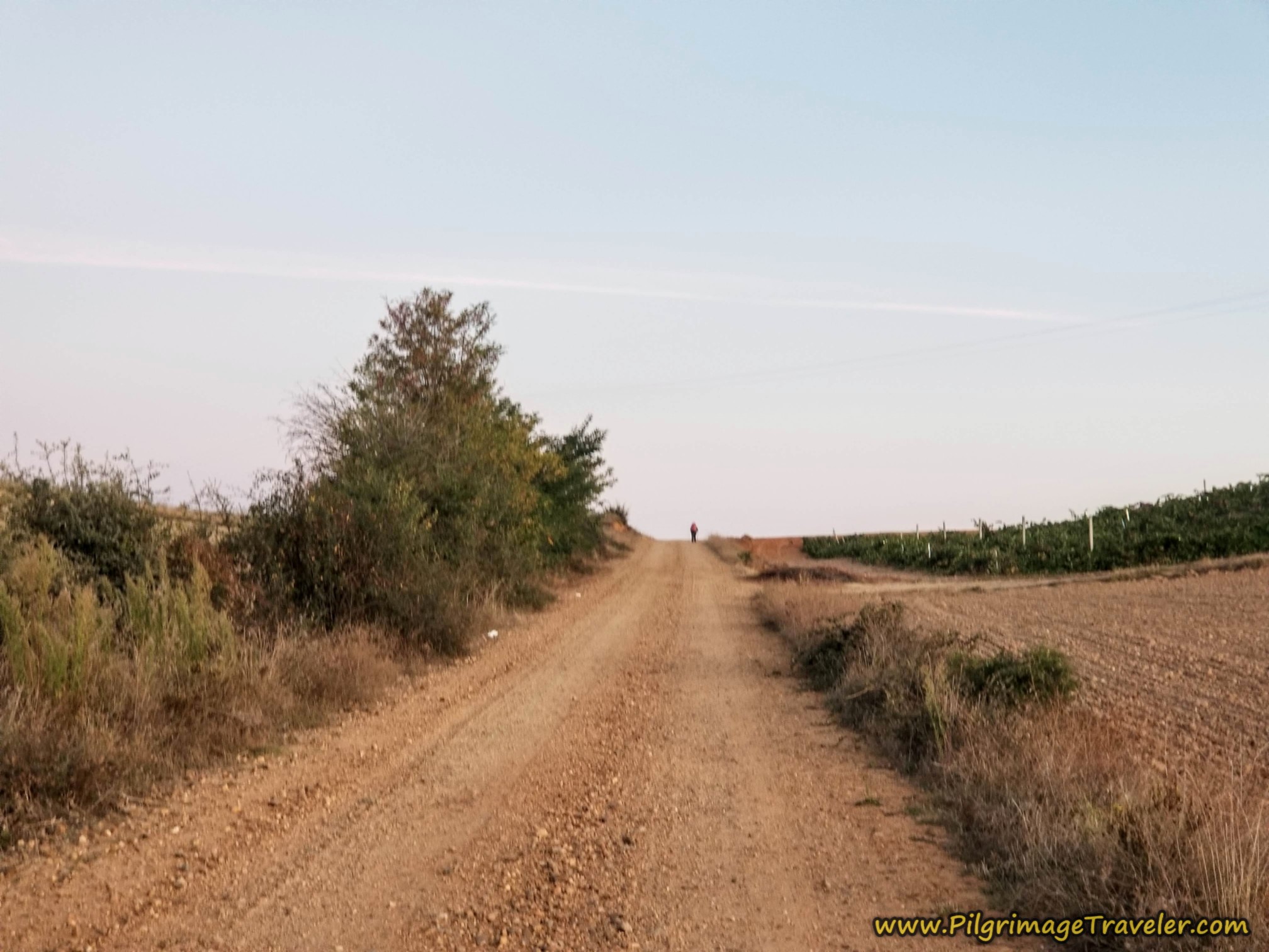 Pilgrim at Crest of the Hill
