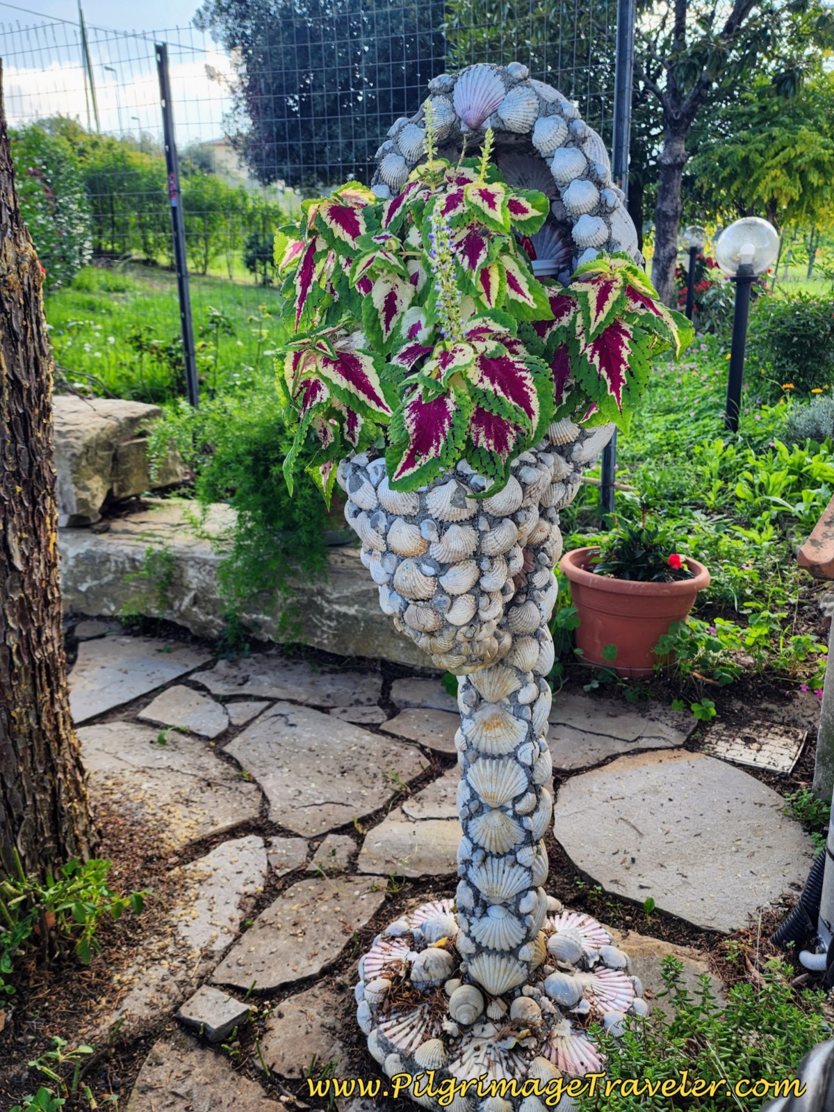 Camino Shell Sculpture, day ten, Way of St. Francis, Valfabbrica to Assisi