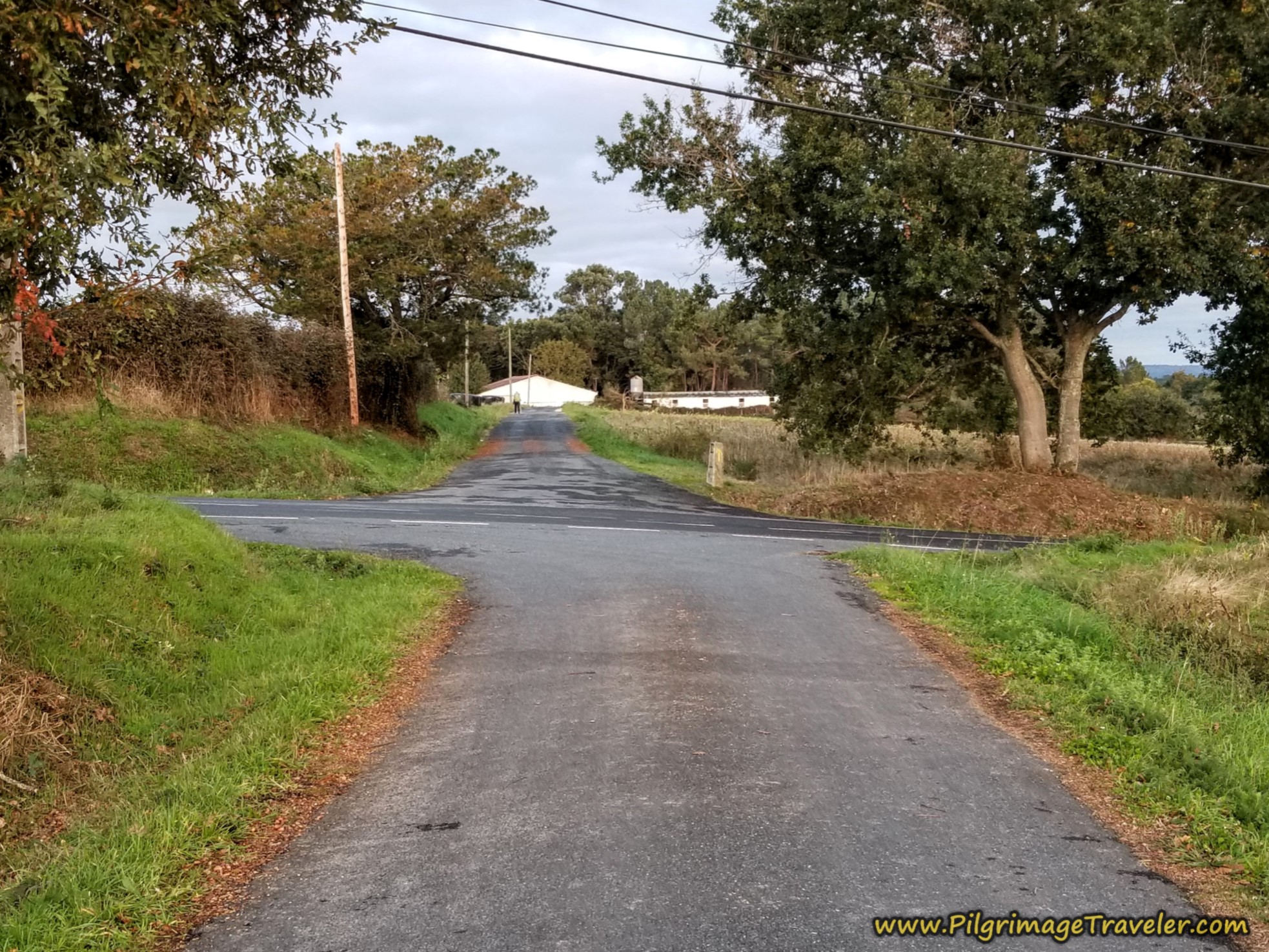 Straight On Towards Large Farm Straight On Towards Large Farm