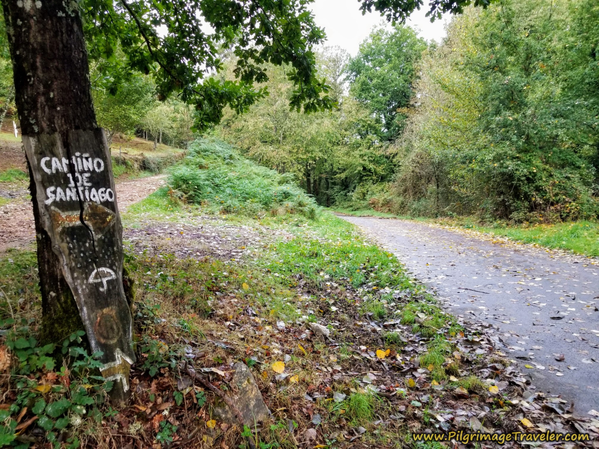 The Camino Sanabrés, A Laza to Vilar de Barrio, Day Ten, 19.7 Km