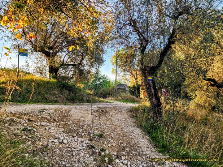 Way of St. Francis: Day Twenty, Poggio San Lorenzo to Ponticelli - Turn Right at T-Intersection