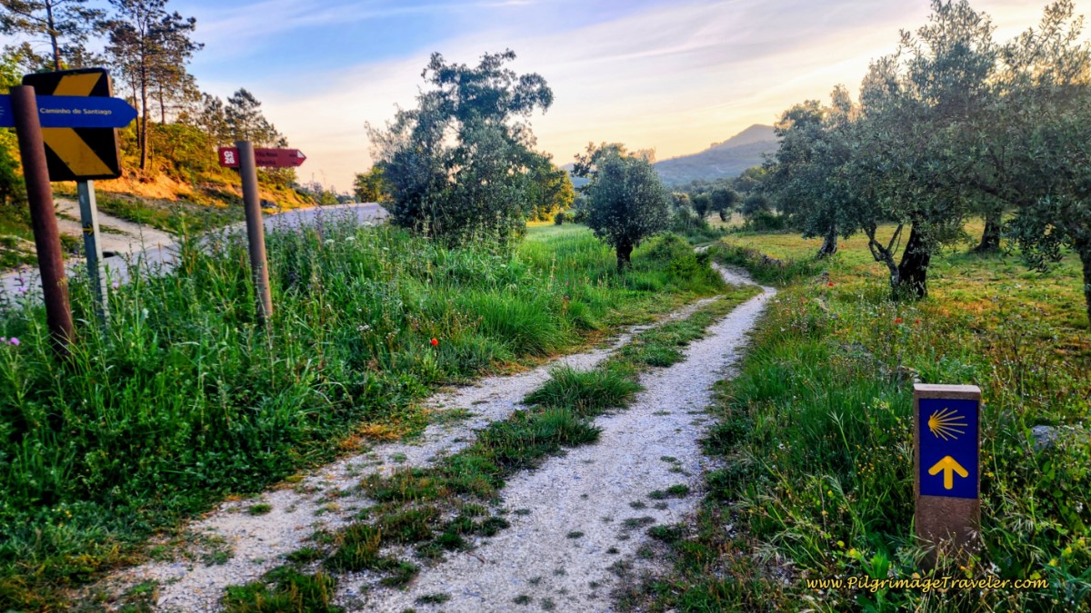 Leave Roadway onto this Tractor Lane