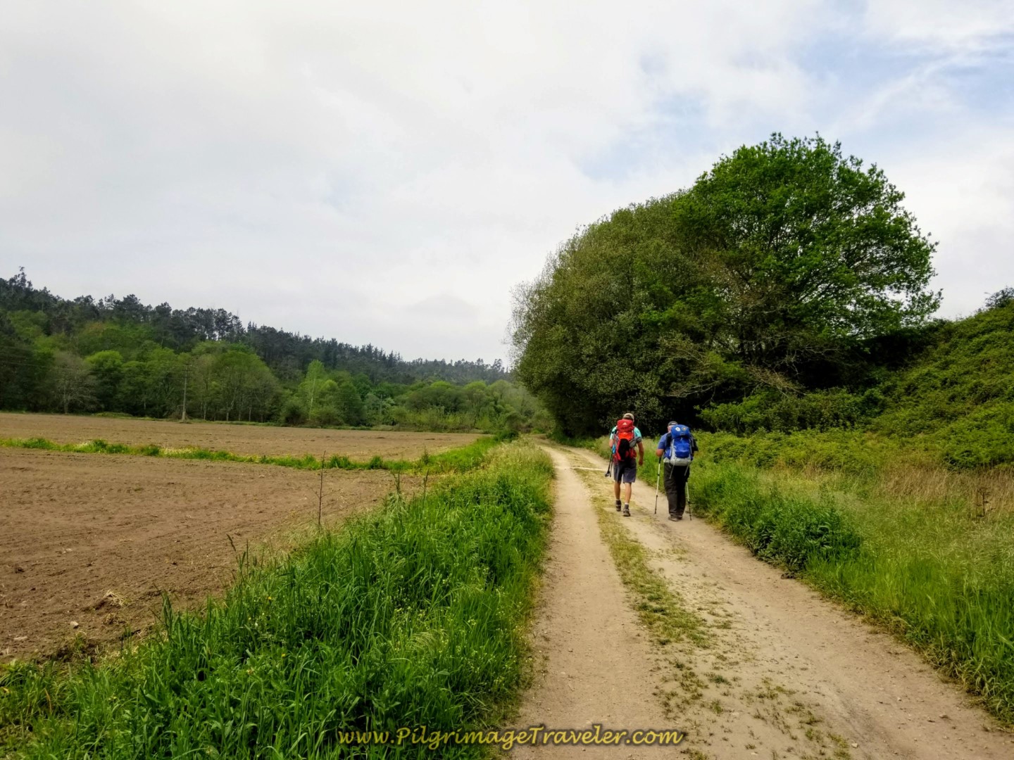Walk on Lane Through Fields on day one of the Camino Finisterre