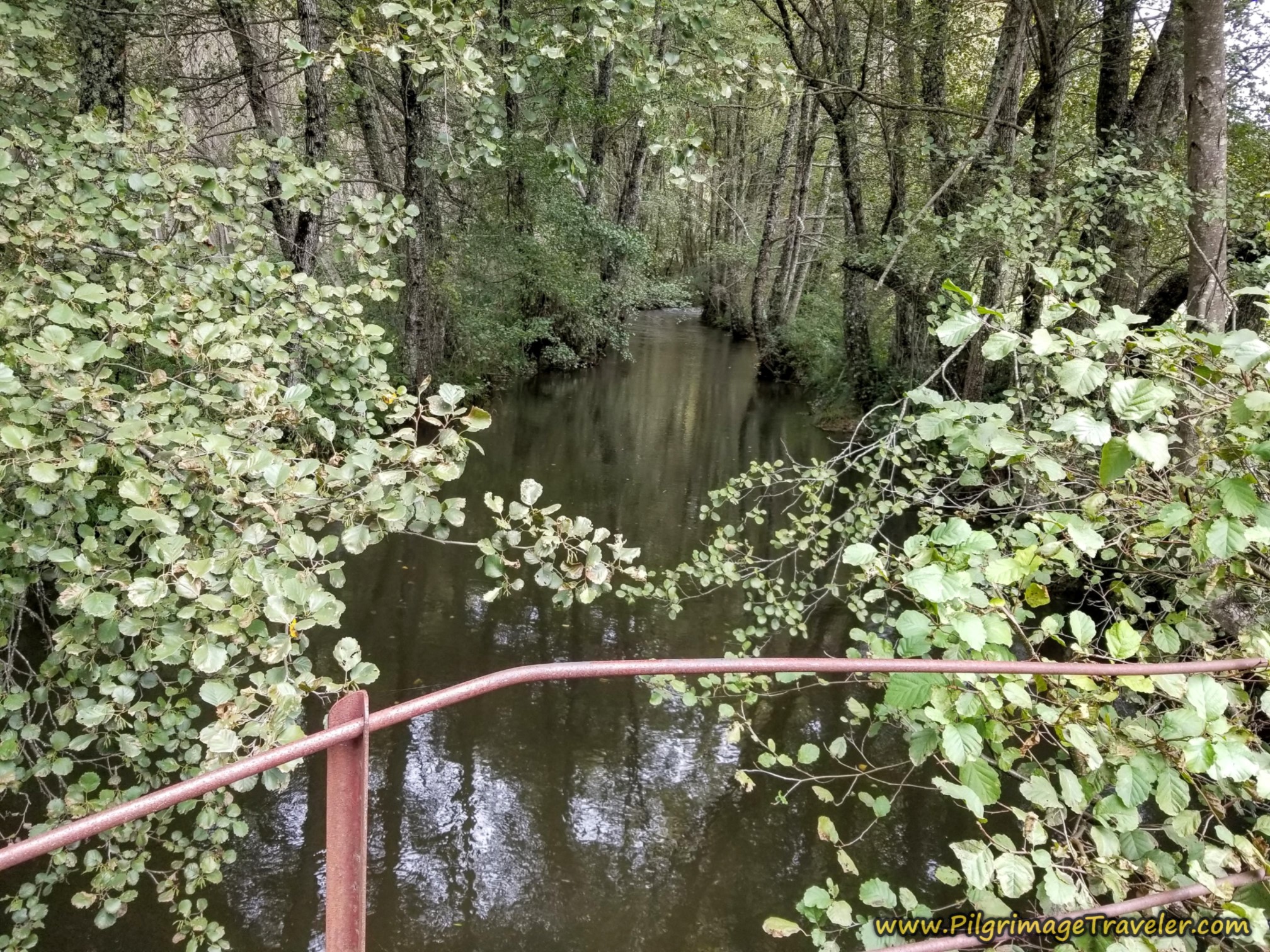 Cross the Río Cereixo