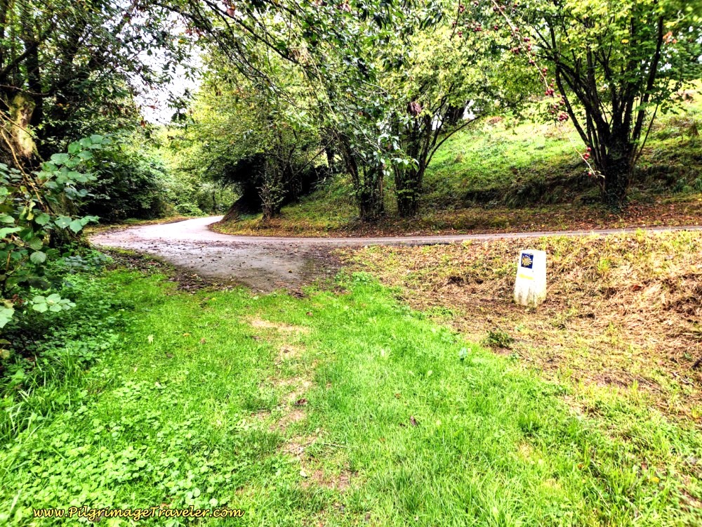 Join Pavement at T-Intersection, Turn Left along day six of the Camino de San Salvador Join Pavement at T-Intersection, Turn Left