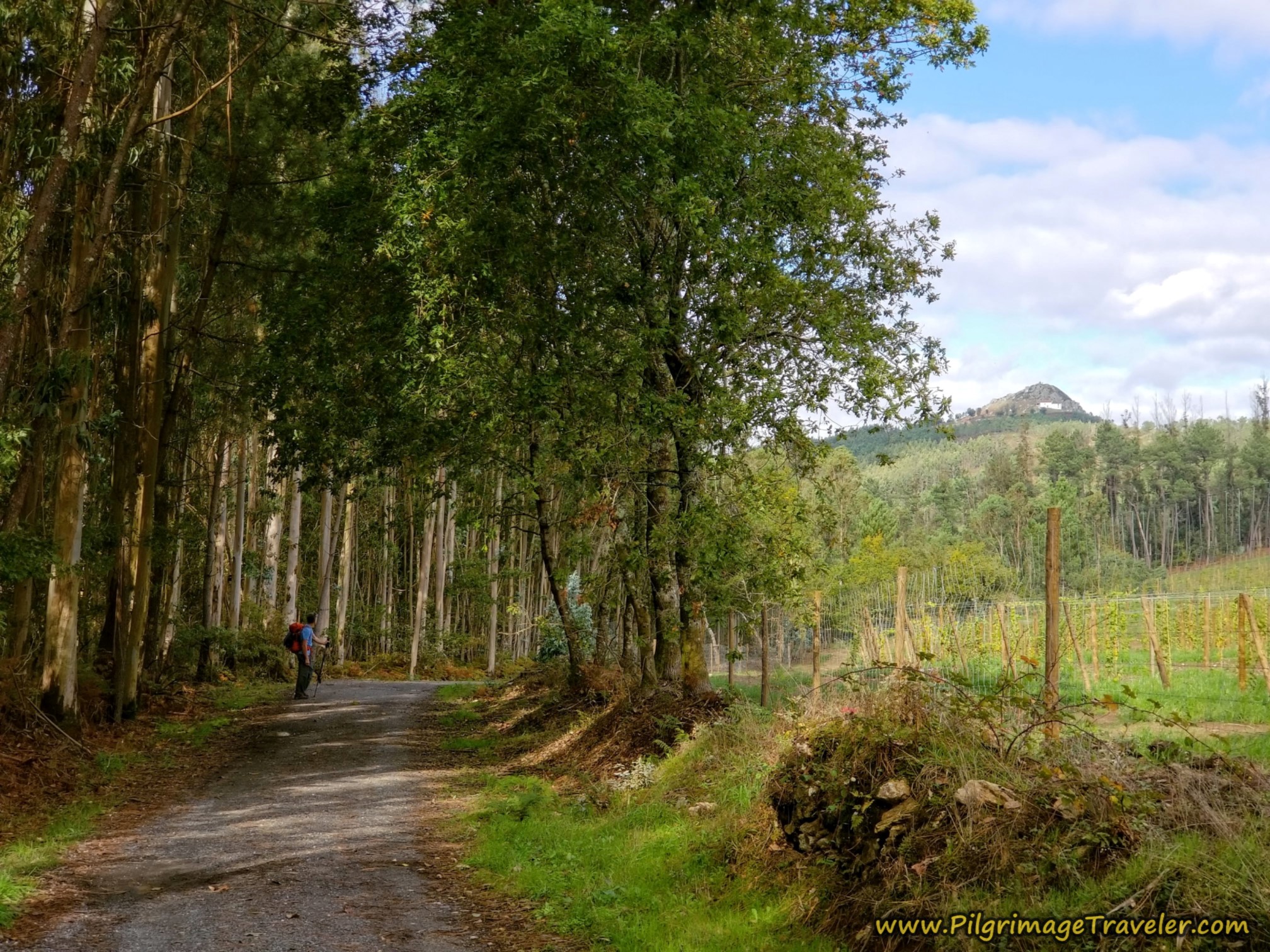 The Lane Onward, Pico Sacro in the Distance