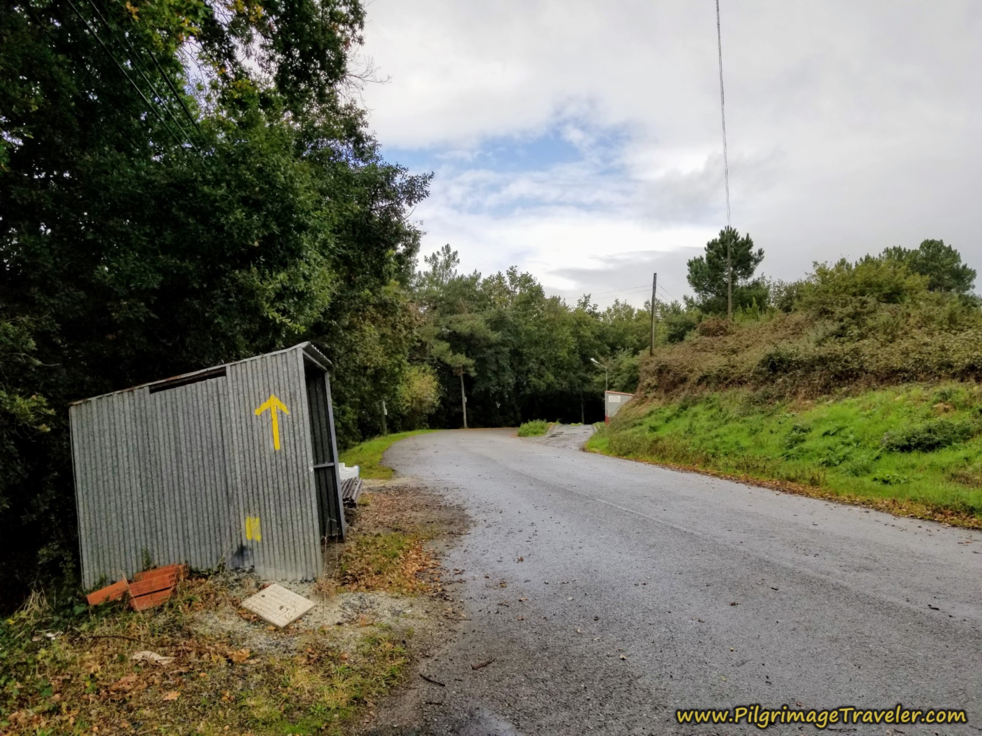 Leave O Foxo on Country Road Leave O Foxo on Country Road