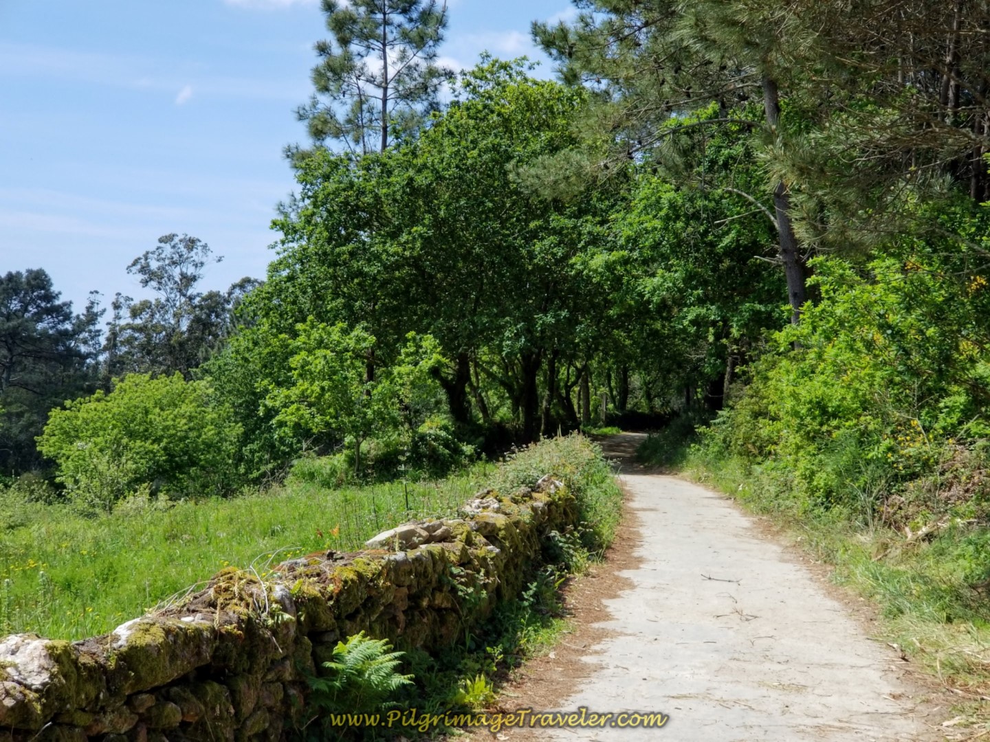 Path Parallels the AC-445