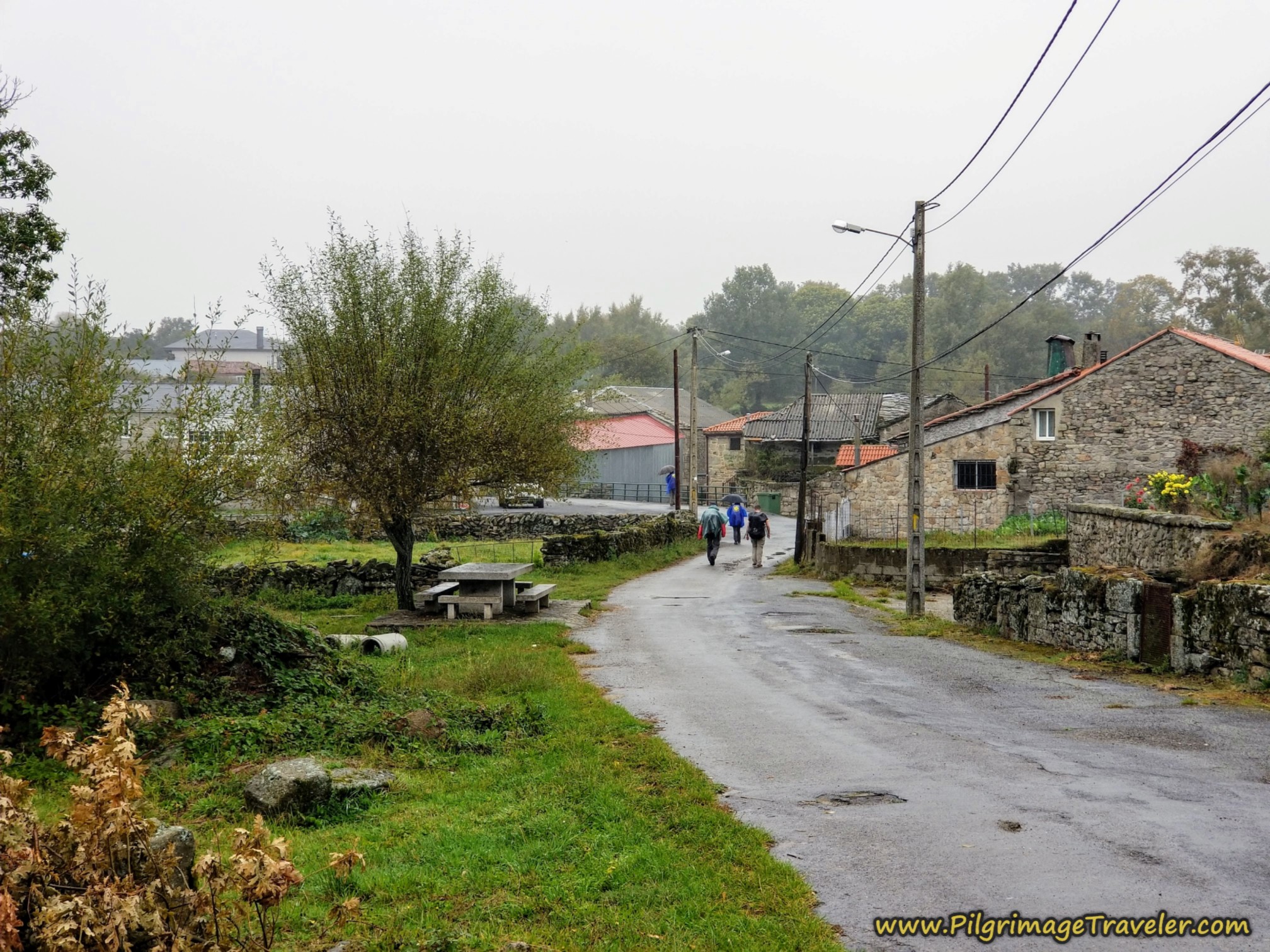 Walk By Picnic Area in O Cañizo