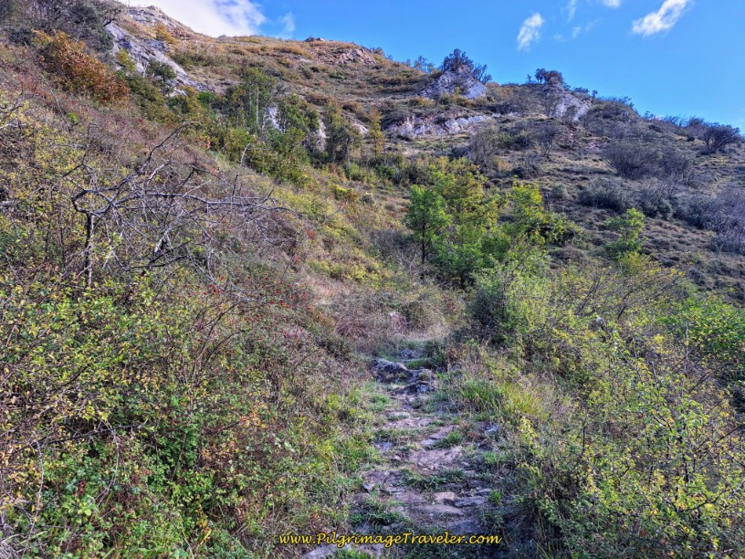Rocky, Rough Ancient Road